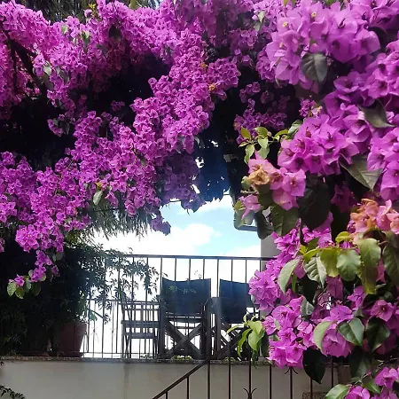 度假居 With Pool *