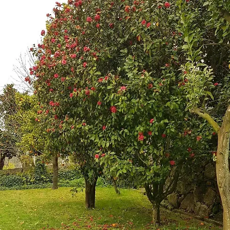 With Pool Дом отдыха