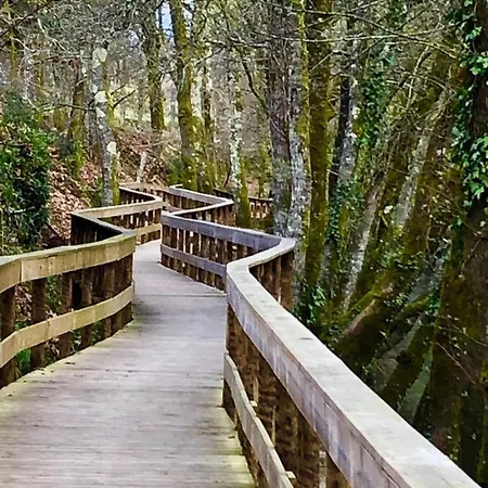 With Pool Аркуш-ди-Валдевеш