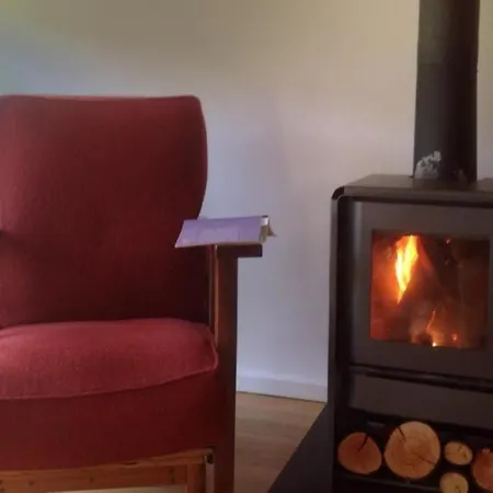 With Pool 阿尔库什迪瓦尔德维什