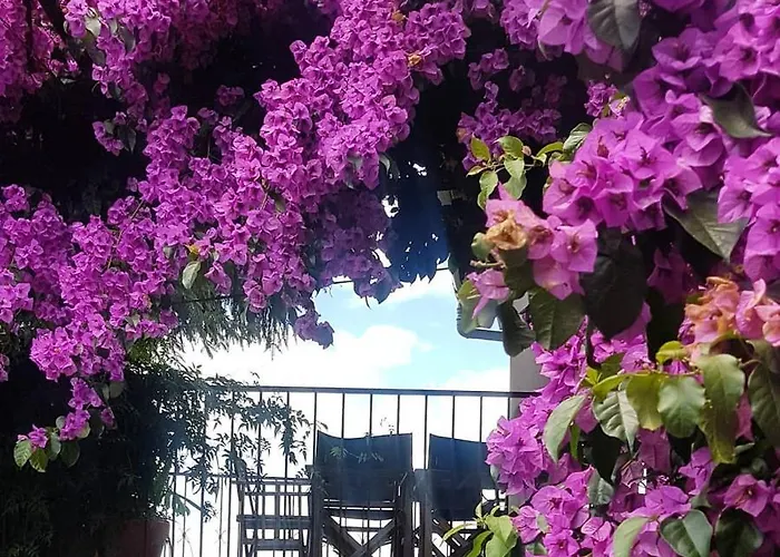 Ferienhaus With Pool *