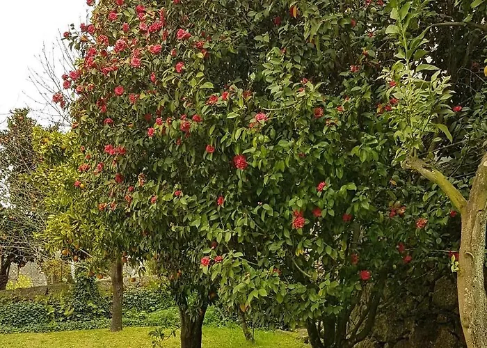 With Pool Ferienhaus