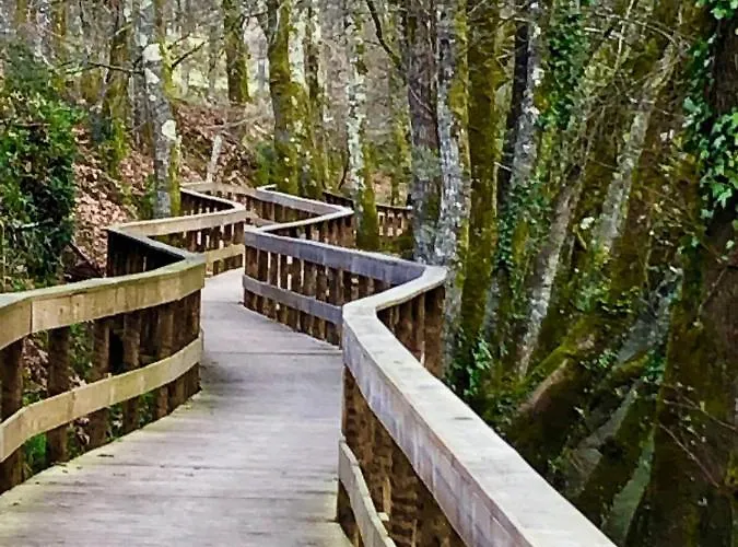 With Pool 아르코스 데 발데베즈